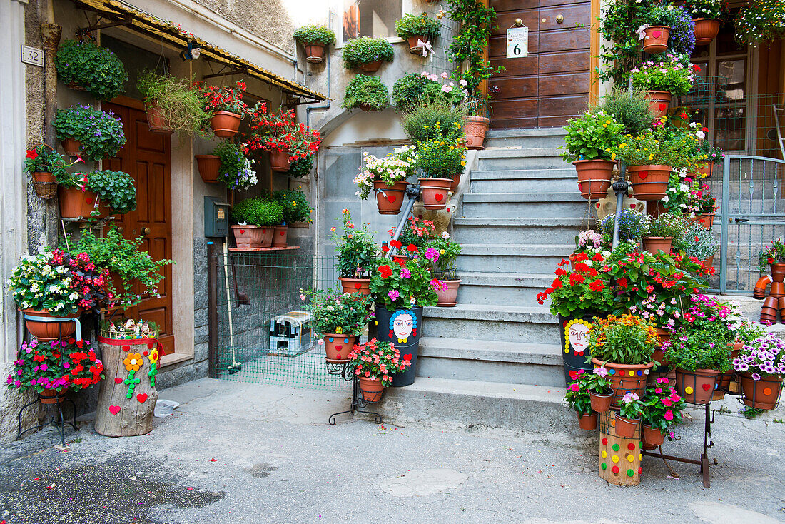 Floral decorations in the old centre of Pratola