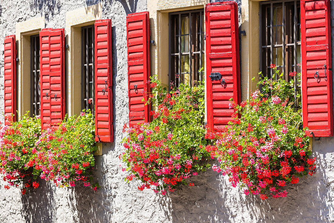 Front with geraniums, old town, Marktbreit, Franconia, Bavaria, Germany