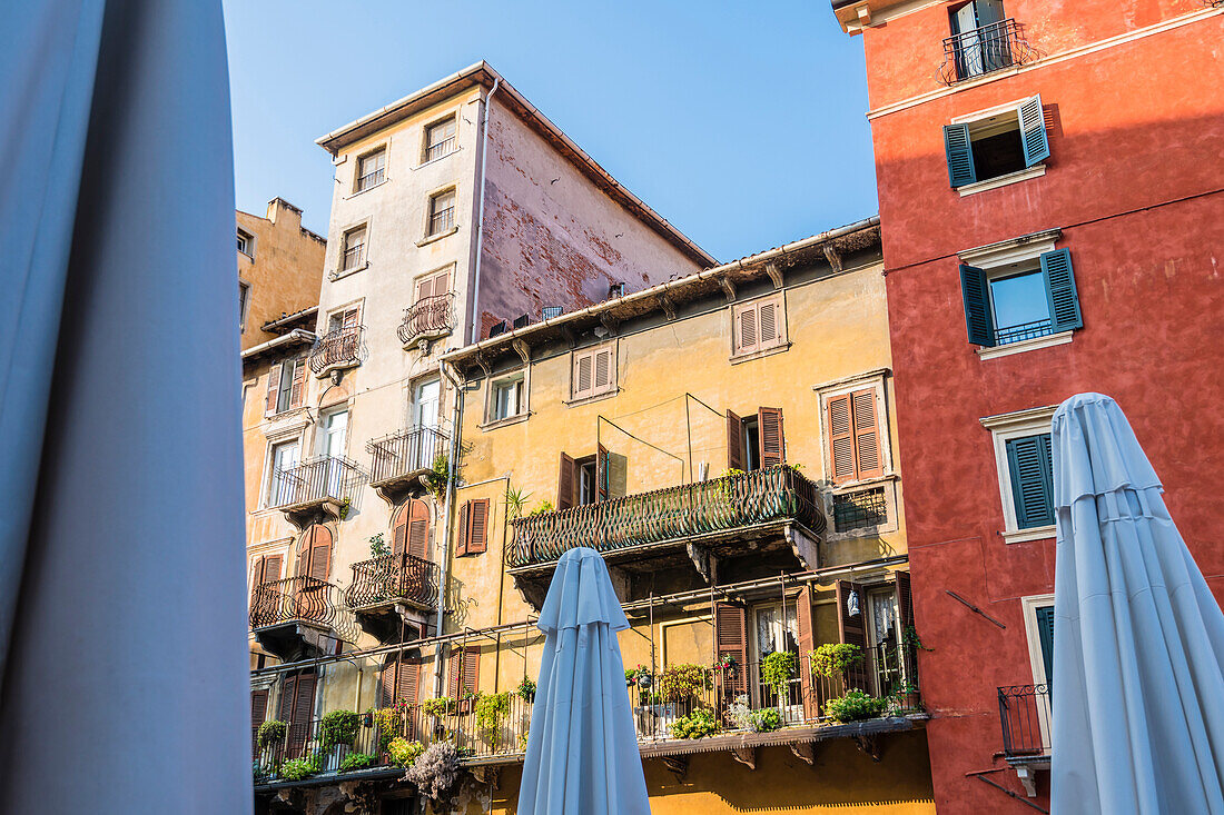 Old houses at the Piazza delle Erbe with sunshades of the market stalls, Verona, Veneto, Italy