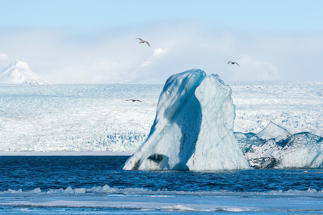 Eisberg in der Gletscherlagune Jokulsarlon, Südküste, Island
