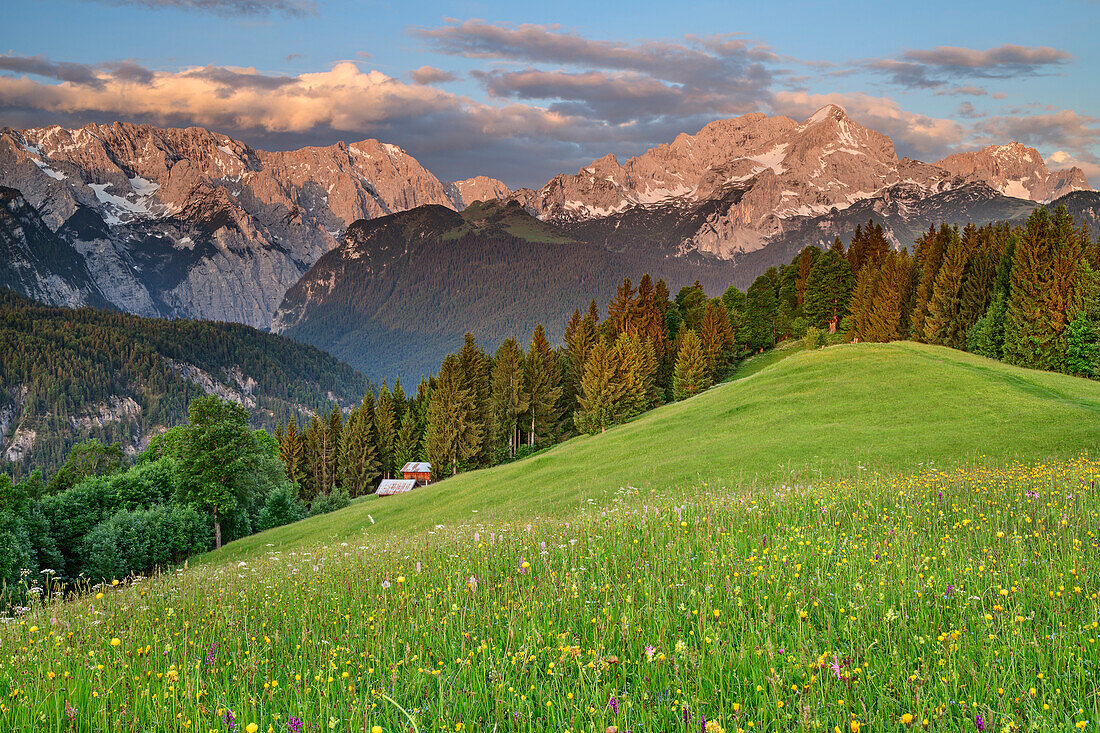 Alpine meadow with Wettersteingrat, Alpspitze and Zugspitze, Wetterstein range, Werdenfels, Upper Bavaria, Bavaria, Germany