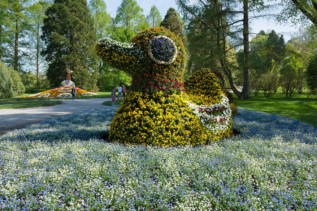 Flower sculpture, Mainau Island, Lake Constance, Baden-Württemberg, Germany