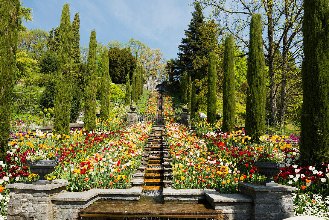 Treppe und Blumenbeete mit Tulpen im Frühling, Insel Mainau, Bodensee, Baden-Württemberg, Deutschland