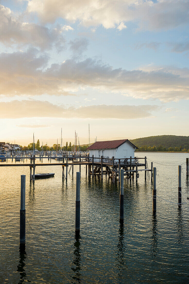 Hafen und Sonnenuntergang, Bodman, Bodensee, Landkreis Konstanz, Baden-Württemberg, Deutschland