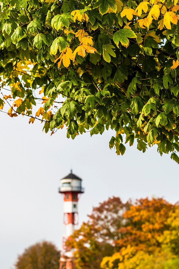 Herbst am Elbstrand, Leuchturm Rissen, Hamburg, Deutschland