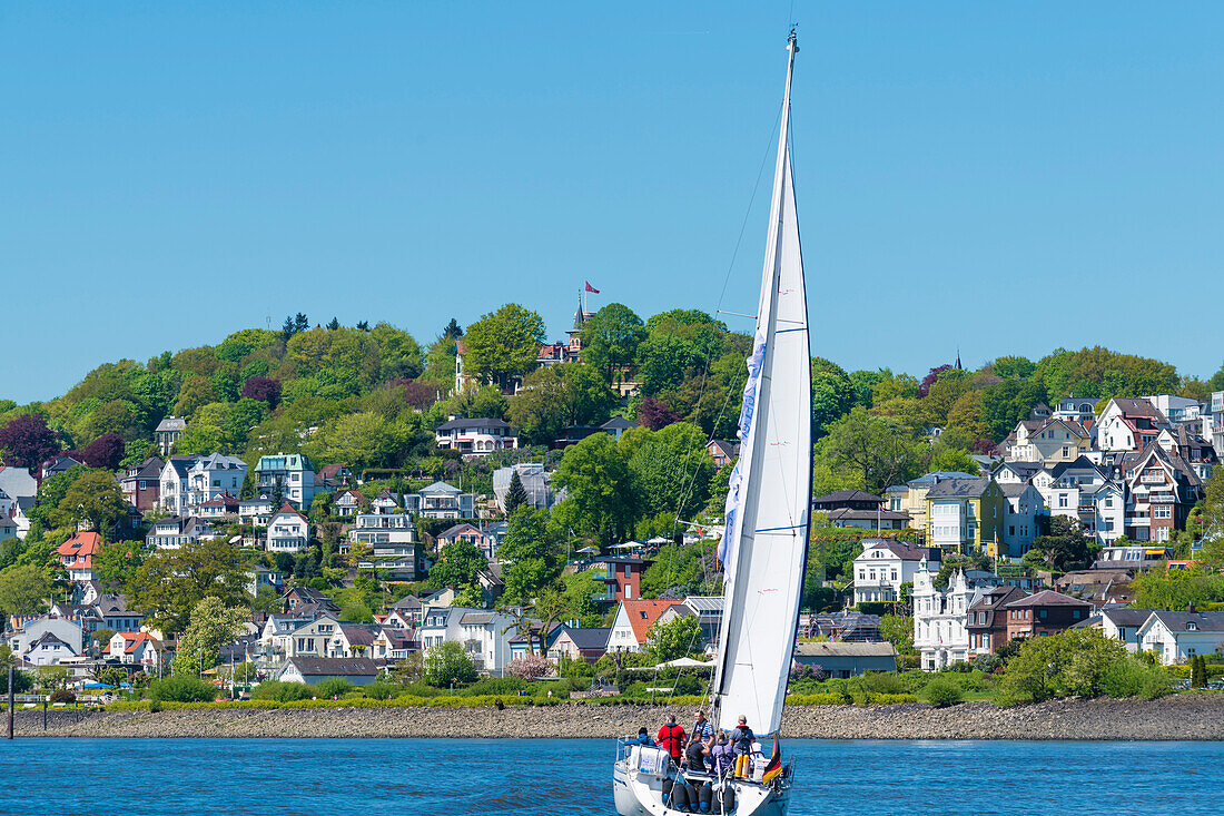 Segelboot auf der Elbe, Süllberg, Blankenese, Hamburg, Deutschland