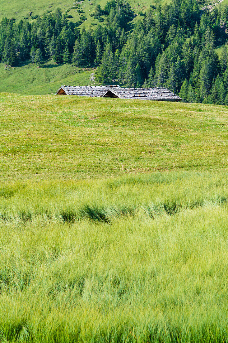 Wooden huts on plateau, Compatsch, Alpe di Siusi, South Tyrol, Italy