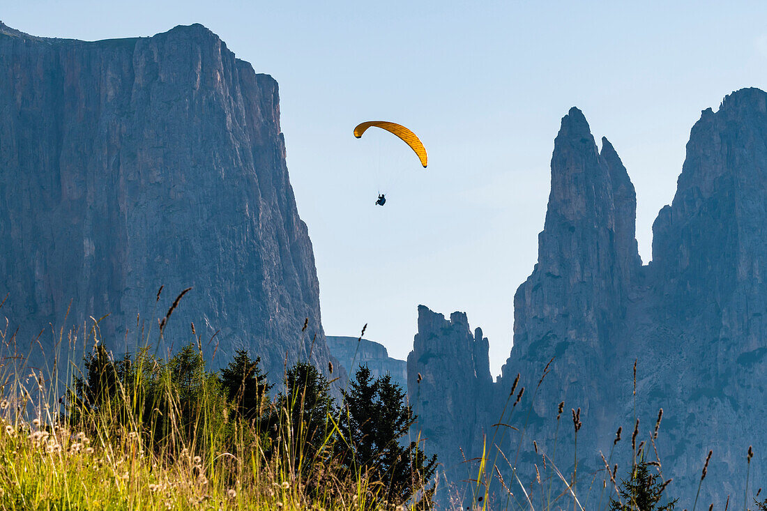 Paraglider in front of the Schlern Mountains, Compatsch, Seiser Alm, South Tyrol, Italy