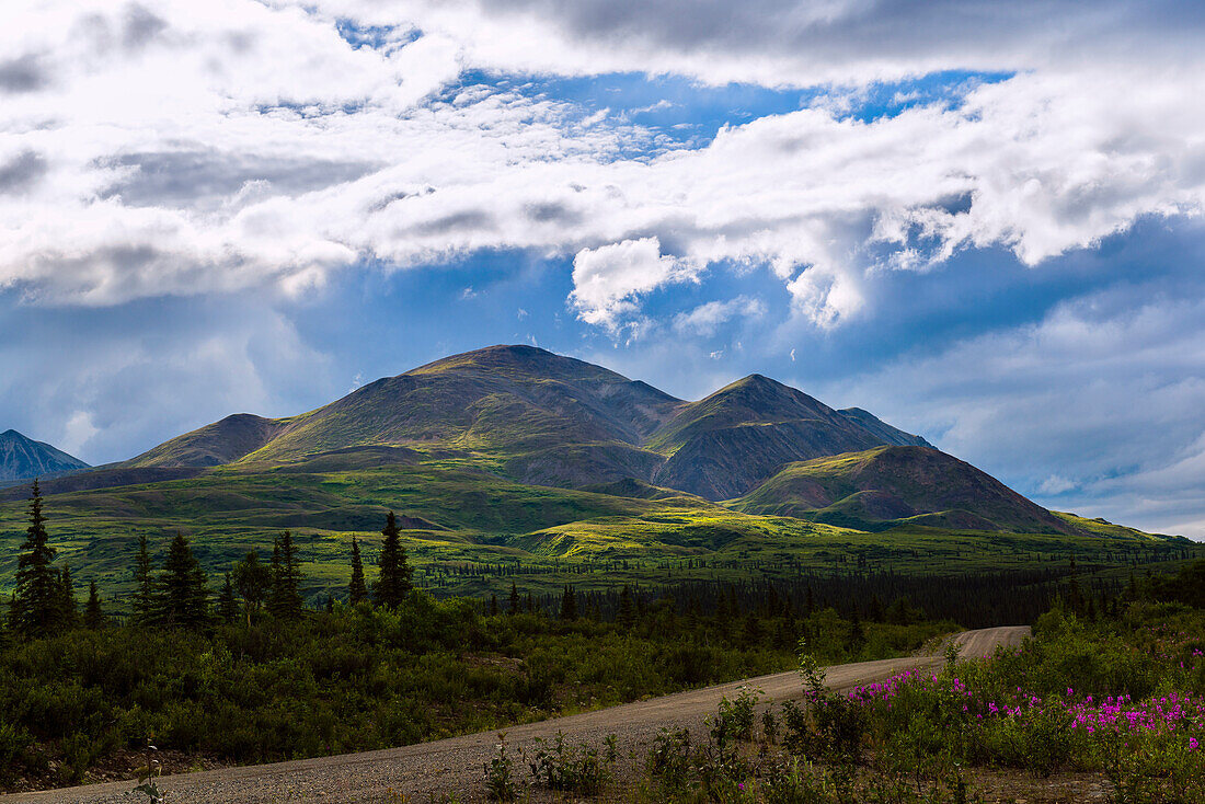 Hügellandschaft am Denali Highway, Alaska, USA
