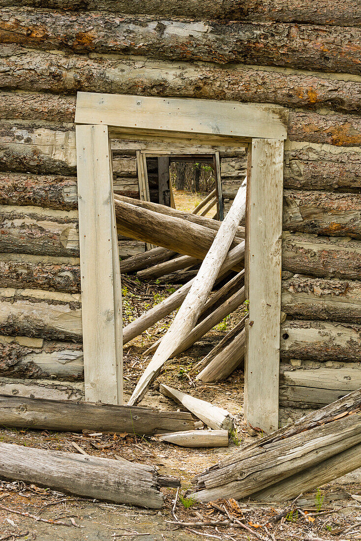 ruinous log cabin in the gold mining town of silver city, Yukon Territory, Canada