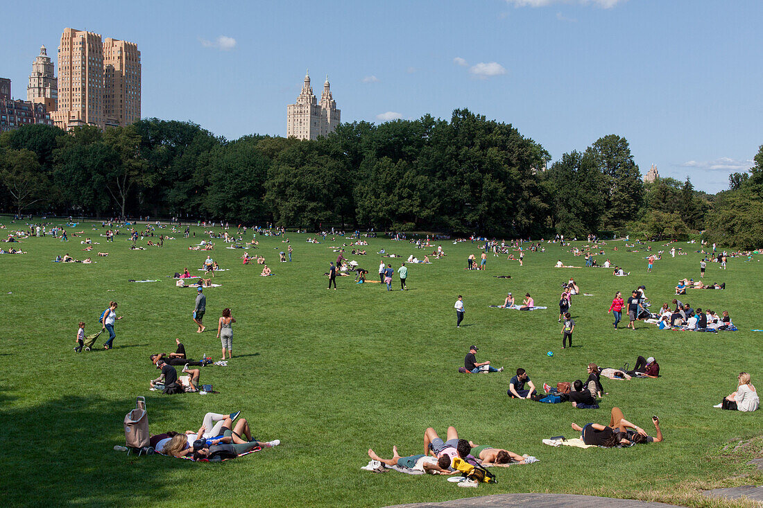 new yorker soaking in the sun on a lawn in central park, manhattan, new york city, new york, united states, usa