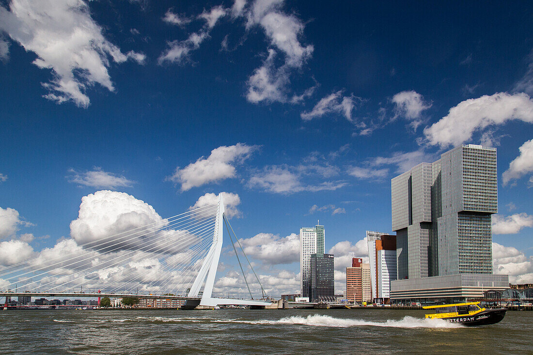 taxi boat in front of the erasmus bridge over the meuse, rotterdam city center, the netherlands