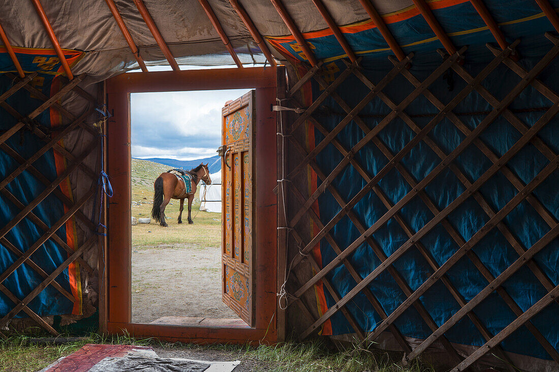 horse seen through the door of a traditional mongolian yurt, bayan-olgii province, mongolia