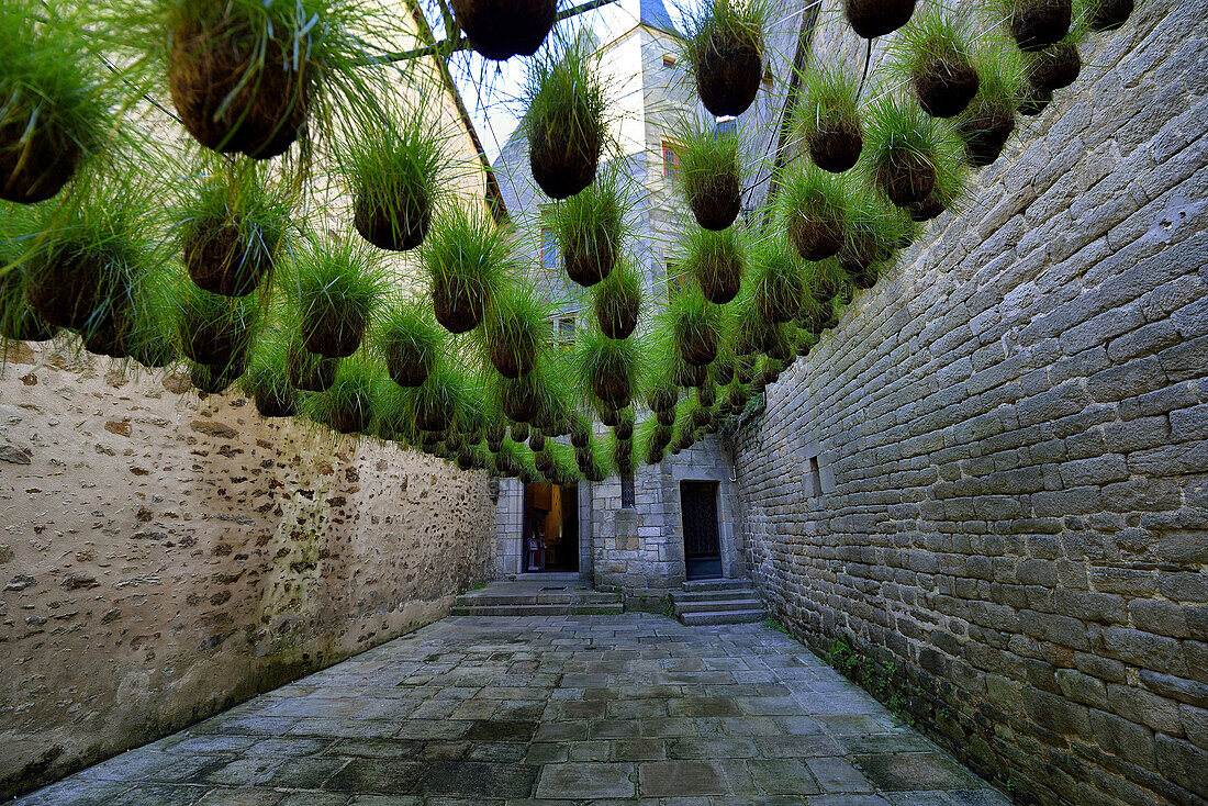 Europe, France, courtyard and decoration in Vannes in the Morbihan