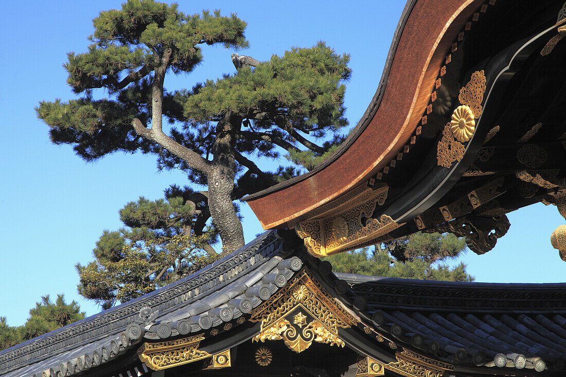 Japan; Kyoto; Nijo Castle, Karamon Gate, architecture detail