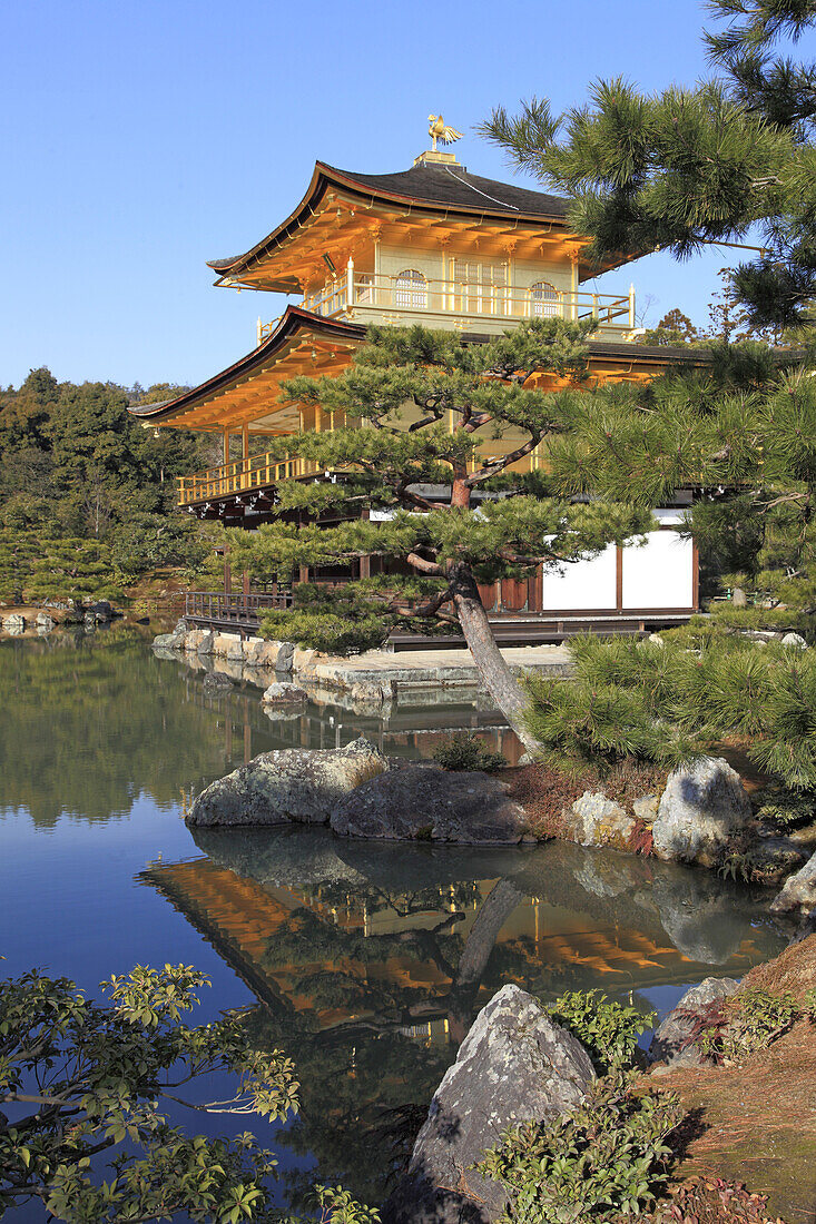 Japan, Kyoto, Kinkaku-ji Temple,  Golden Pavilion