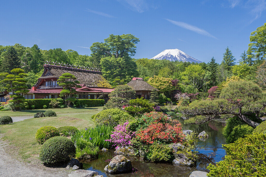 Yamanashi Province,Oshino Mura, Minami Tsuru District,Shibosuka, garden