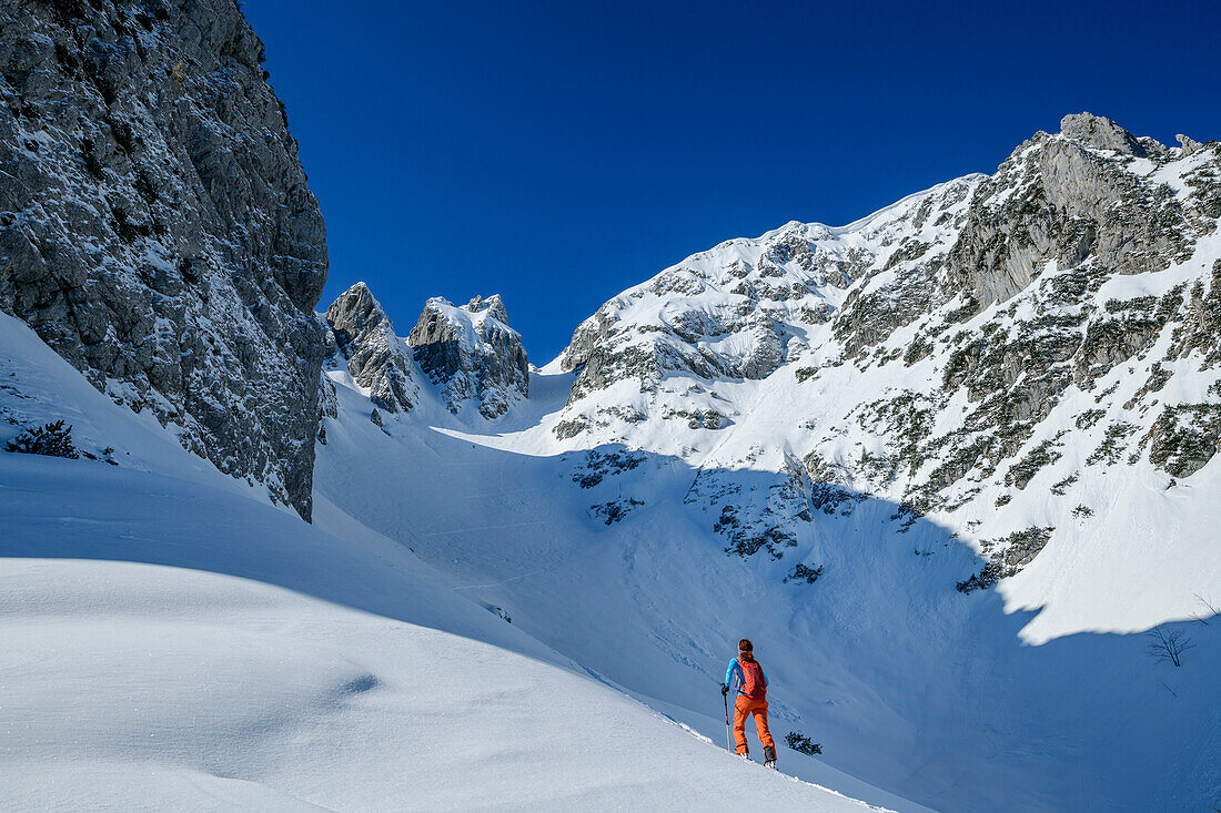 Woman backcountry-skiing ascending towards Zwiesel, Zwiesel, Chiemgau Alps, Chiemgau, Upper Bavaria, Bavaria, Germany