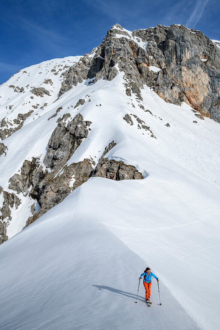 Woman backcountry-skiing ascending towards Huehnerkopf, Huehnerkopf, Berchtesgaden Alps, Salzburg, Austria