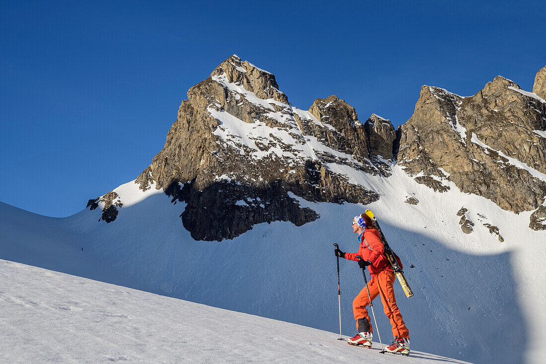 Frau auf Skitour steigt zur Wilden Kreuzspitze auf, Wilde Kreuzspitze, Pfitschtal, Zillertaler Alpen, Südtirol, Italien