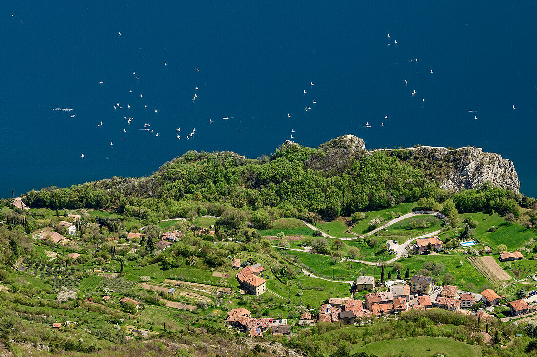 Tiefblick auf Gardasee mit Segelbooten und auf Pregasina, Gardasee, Gardaseeberge, Trentino, Italien