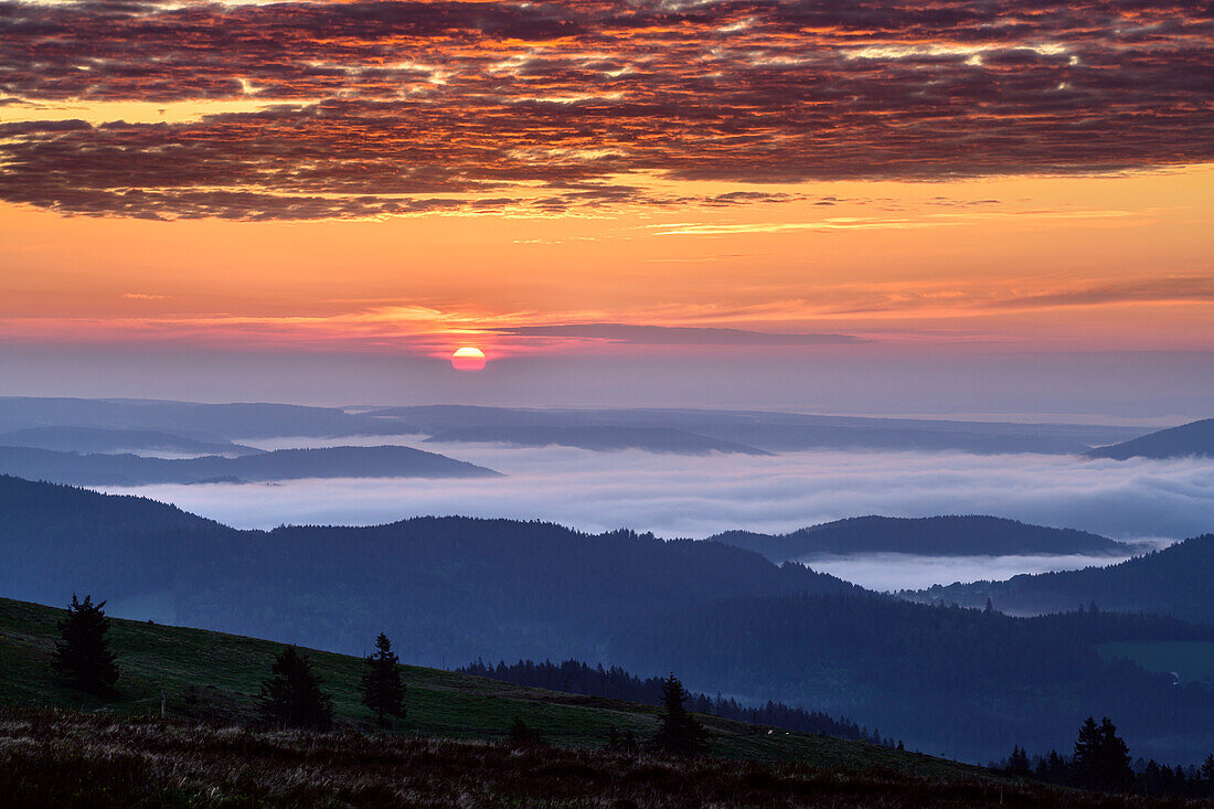 Sonnenaufgang am Feldberg mit Nebel im Tal und rot glühenden Wolken, Feldberg, Schwarzwald, Baden-Württemberg, Deutschland