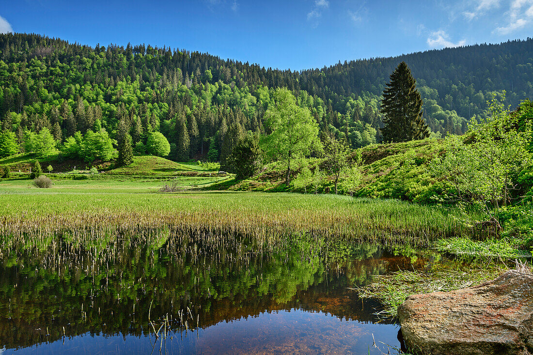 See an der Klusenmoräne, Feldberg, Albsteig, Schwarzwald, Baden-Württemberg, Deutschland