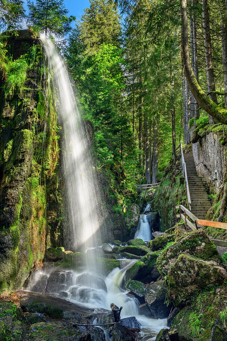 Menzenschwander Wasserfall, Albsteig, Schwarzwald, Baden-Württemberg, Deutschland