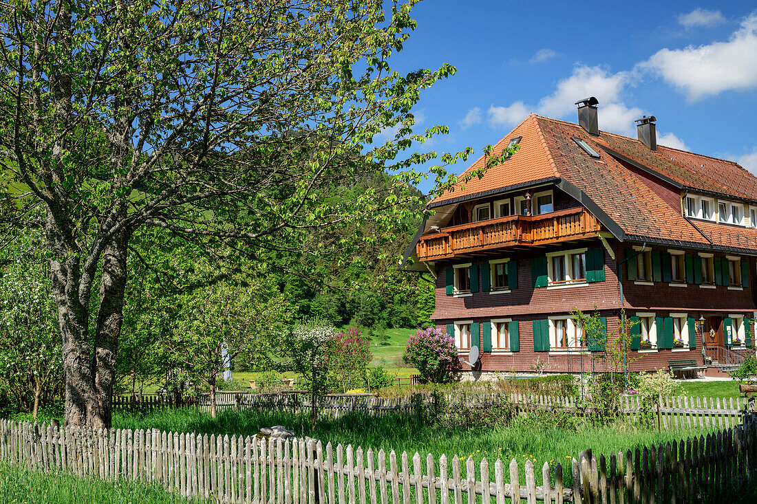 Traditional house of Black Forest in Menzenschwand, Albsteig, Black Forest, Baden-Wuerttemberg, Germany