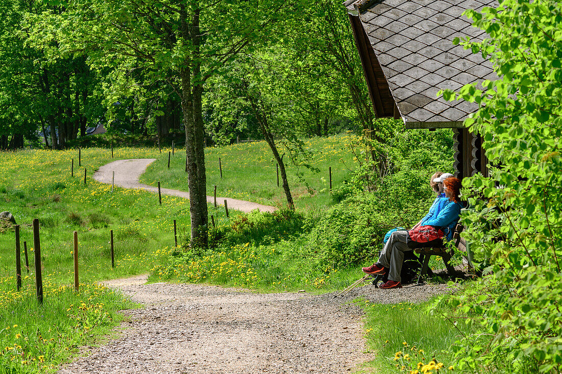 Three persons sitting near hut and having a break, Albsteig, Black Forest, Baden-Wuerttemberg, Germany