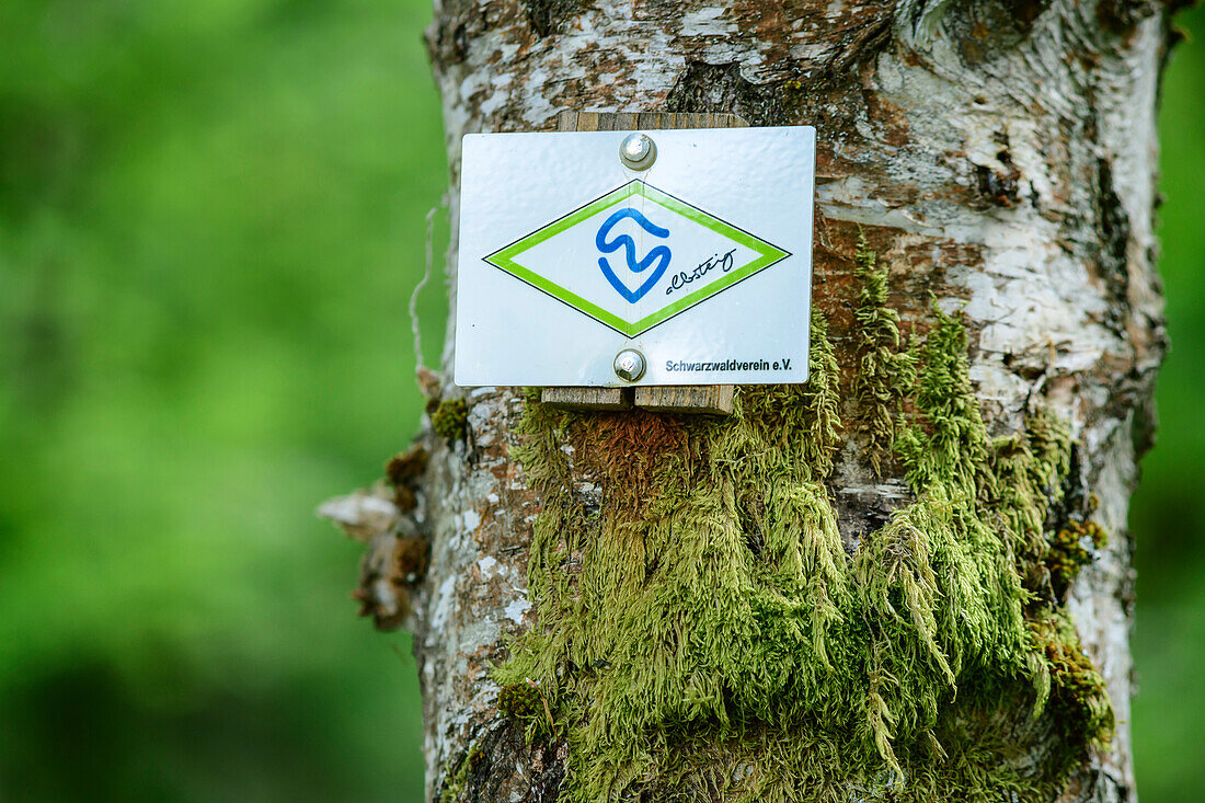 Sign Albsteig, Albsteig, Black Forest, Baden-Wuerttemberg, Germany