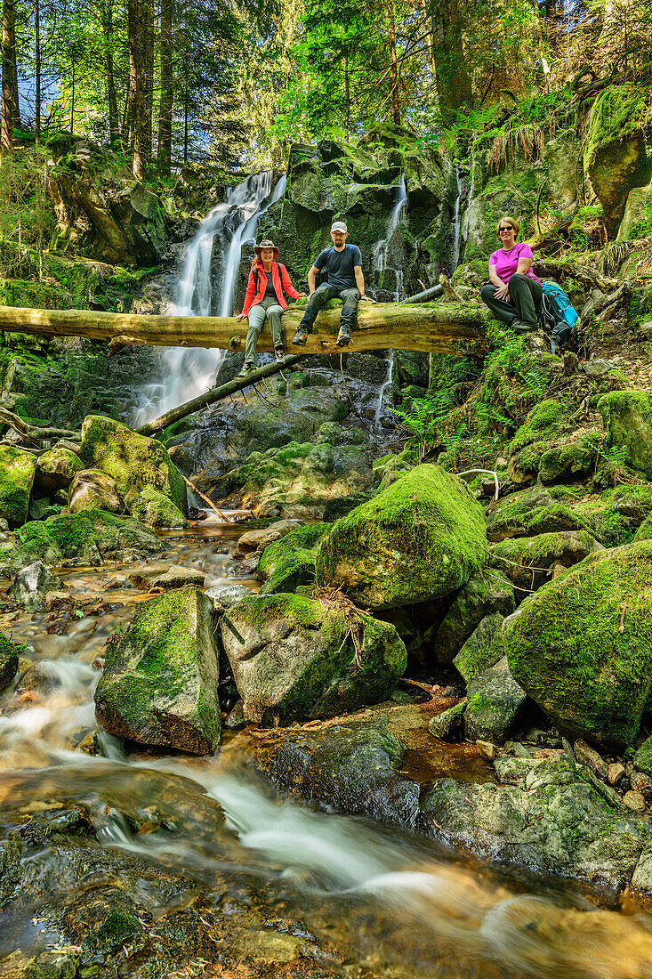 Drei Personen sitzen auf Baumstamm über Bach, Albsteig, Schwarzwald, Baden-Württemberg, Deutschland