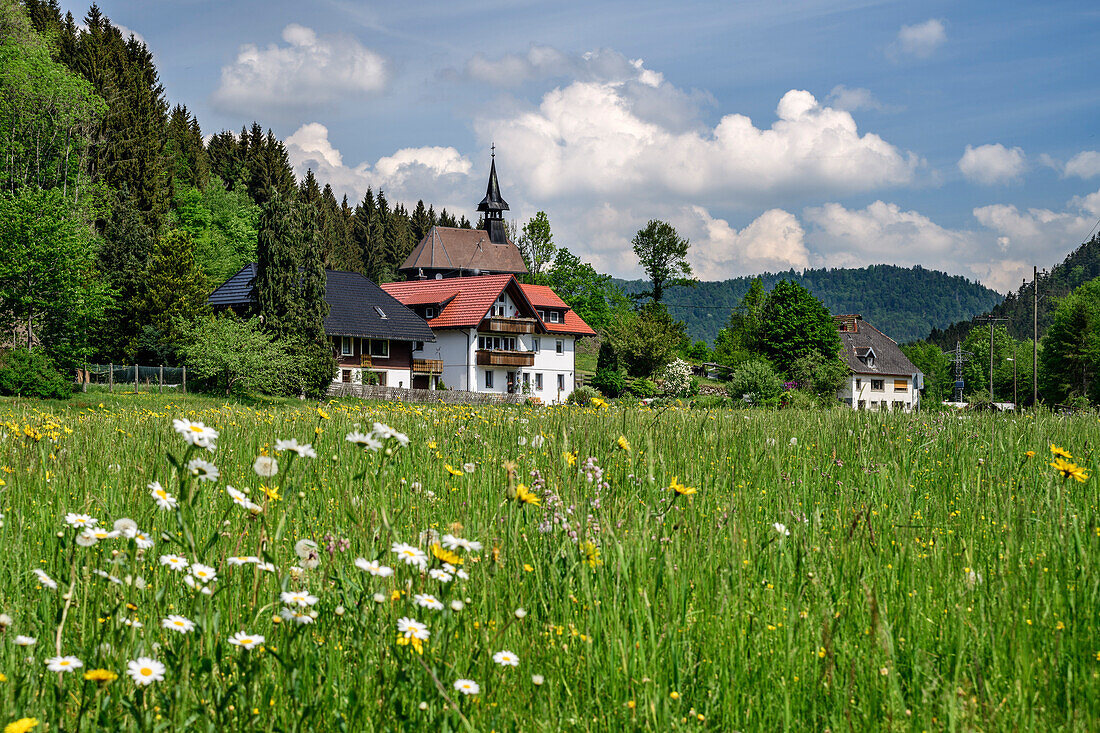 Häuser und Kirche von Immeneich, Immeneich, Albtal, Albsteig, Schwarzwald, Baden-Württemberg, Deutschland