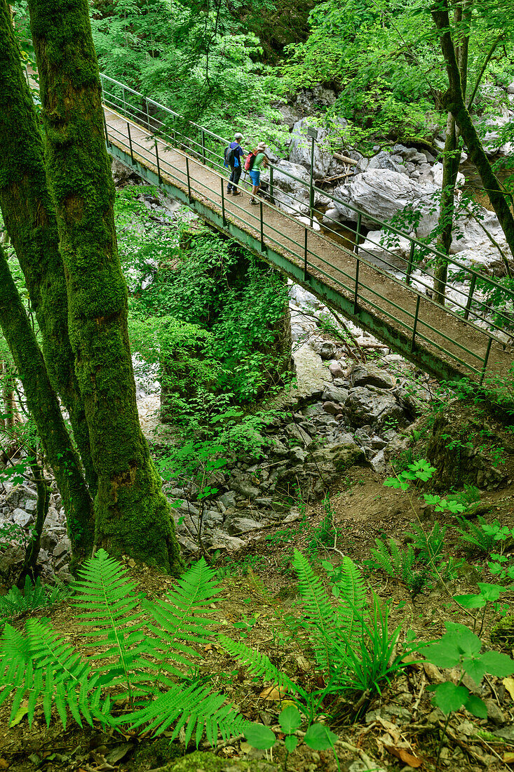Two persons hiking standing on bridge and looking into stream Alb, Studinger Steg, Albsteig, Black Forest, Baden-Wuerttemberg, Germany