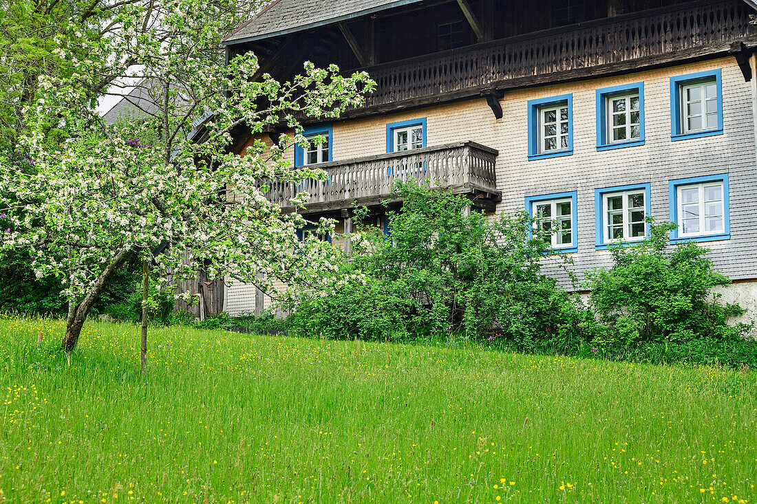 Traditional house of Black Forest, Bernau-Dorf, Albsteig, Black Forest, Baden-Wuerttemberg, Germany