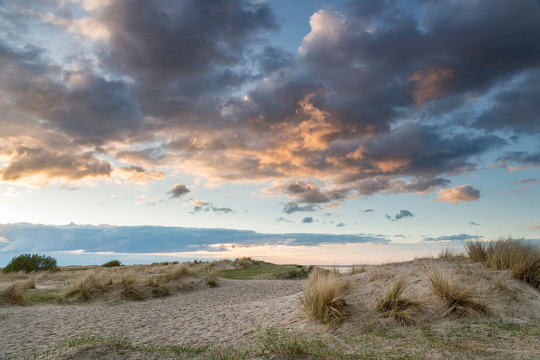 Sanddüne, Wolke, Abendlicht, Schillig, Wangerland, Landkreis Friesland, Niedersachsen, Deutschland, Europa