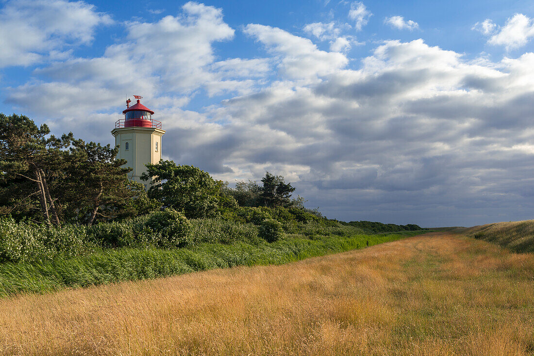Leuchtturm, Westermarkelsdorf, Fehmarn, Ostsee, Ostholstein, Schleswig-Holstein, Deutschland, Europa