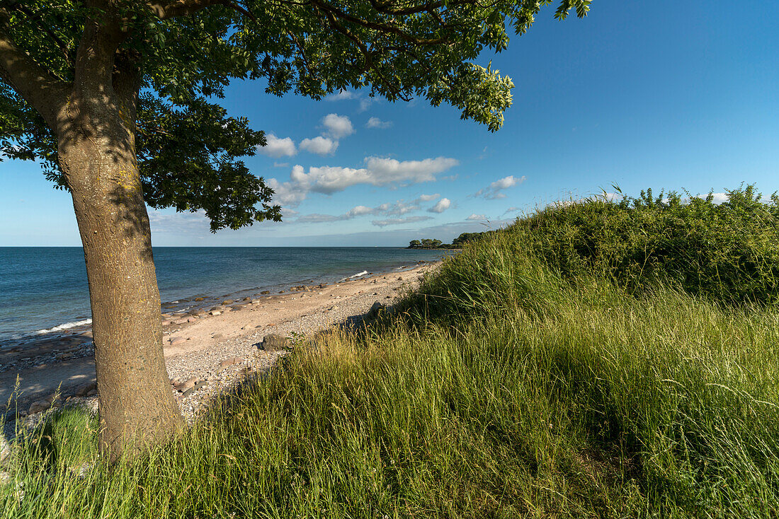 Beach, Coast, Staberdorf, Fehmarn, Baltic Sea, East-Holstein, Schleswig-Holstein, Germany, Europe