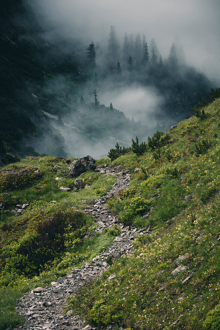 Wanderweg in nebligem Wald, E5, Alpenüberquerung, 2. Etappe, Lechtal, Holzgau, Tirol, Österreich,Kemptner Hütte zur Memminger Hütte