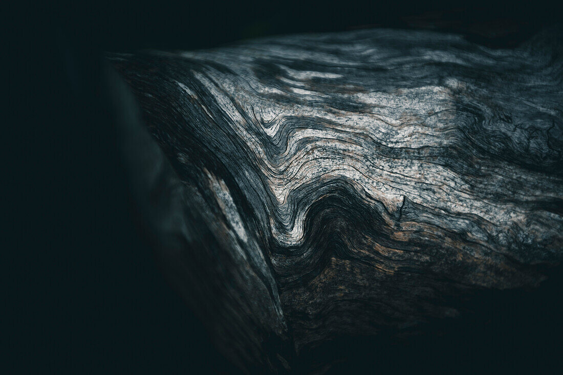 Abgestorbener Baum, E5, Alpenüberquerung, 2. Etappe, Lechtal, Holzgau, Tirol, Österreich, Kemptner Hütte zur Memminger Hütte