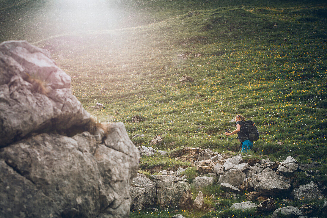 Wanderin beim Aufstieg im Abendlicht,E5, Alpenüberquerung, 2. Etappe, Lechtal, Holzgau, Tirol, Österreich, Kemptner Hütte zur Memminger Hütte