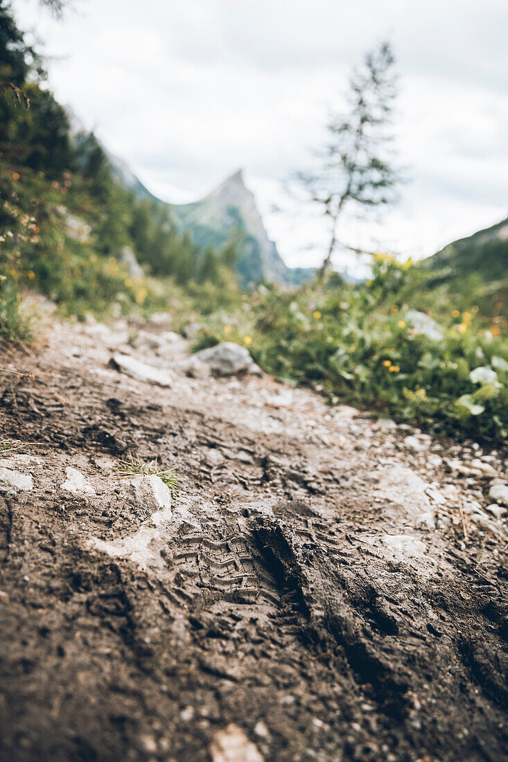 Wanderweg mit Schuhabdruck und Gipfel der Silberspitze im Hintergrund,E5, Alpenüberquerung, 3. Etappe, Seescharte, Inntal, Tirol, Österreich, Memminger Hütte zur Unterloch Alm