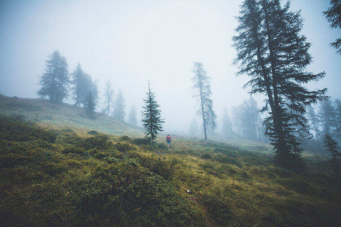 Bergsteigerin im nebligen Wald, E5, Alpenüberquerung, 4. Etappe, Skihütte Zams, Pitztal, Lacheralm, Wenns, Gletscherstube,  Österreich, Zams zur Braunschweiger Hütte