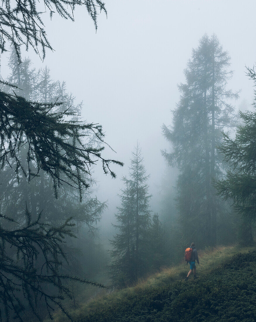Climber in the misty forest, E5, Alpenüberquerung, 4th stage, Skihütte Zams,Pitztal,Lacheralm, Wenns, Gletscherstube, Zams to  Braunschweiger Hütte, tyrol, austria, Alps