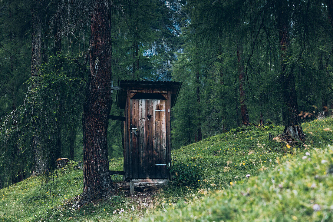 Mountain toilet in the forest, E5, Alpenüberquerung, 3rd stage, Seescharte,Inntal, Memminger Hütte to  Unterloch Alm, tyrol, austria, Alps