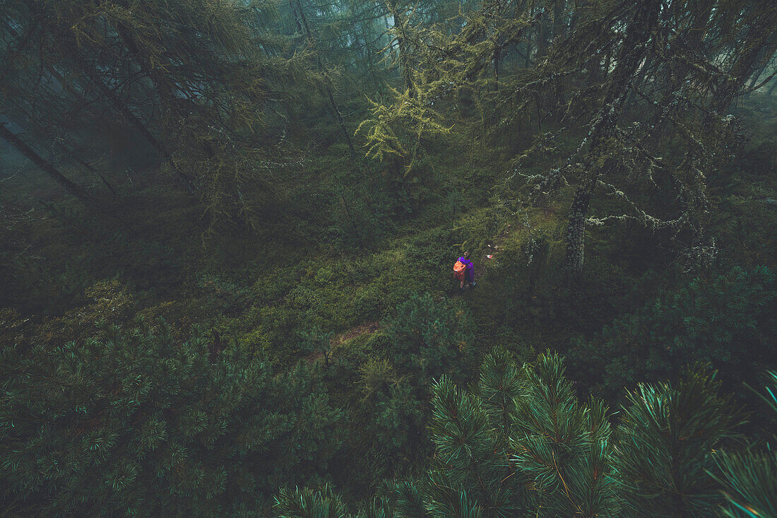 Climber in the misty forest, E5, Alpenüberquerung, 4th stage, Skihütte Zams,Pitztal,Lacheralm, Wenns, Gletscherstube, Zams to  Braunschweiger Hütte, tyrol, austria, Alps