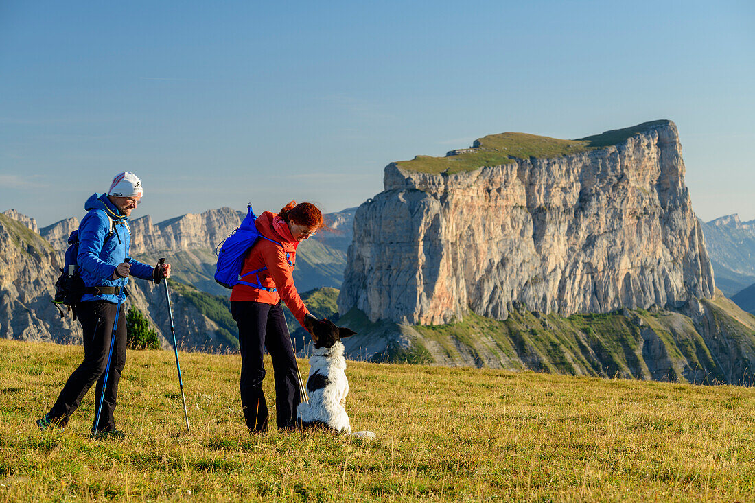 A man and a woman with dog when walking on meadow with Mont Aiguille in the background, from the Tête Chevalier, Vercors, Dauphine, Dauphine, Isère, France