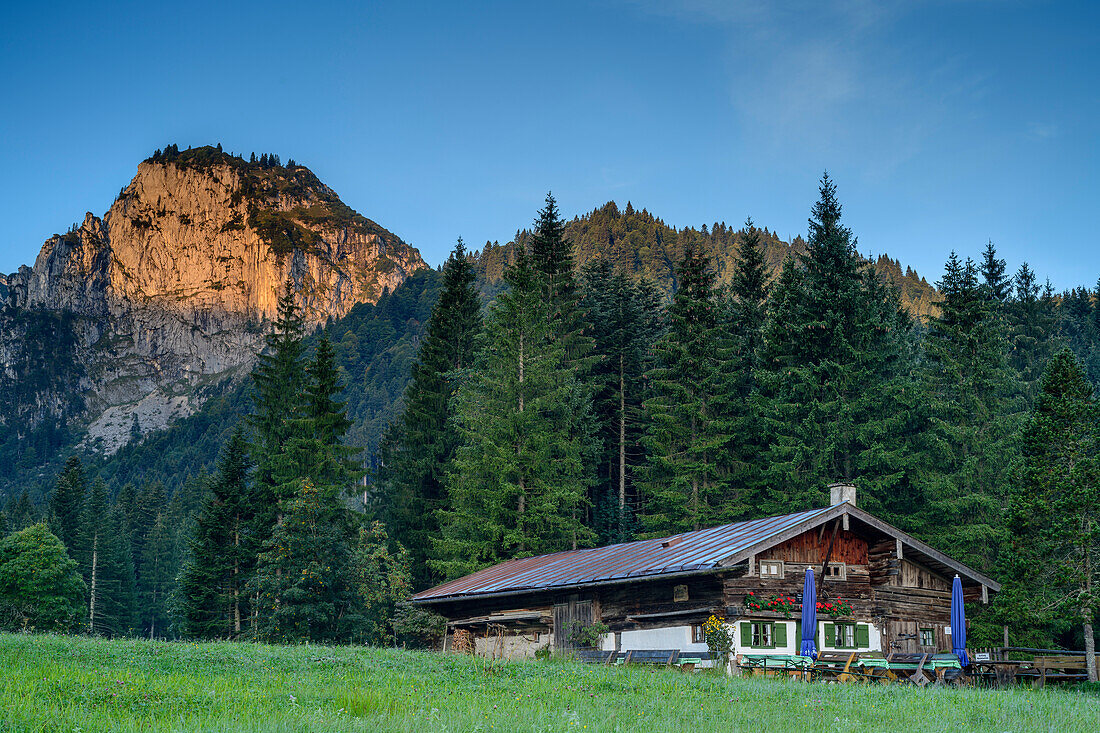 Almgebäude der Hinteren Längentalalm mit Probstenwand im Alpenglühen, Benediktenwand, Bayerische Alpen, Oberbayern, Bayern, Deutschland