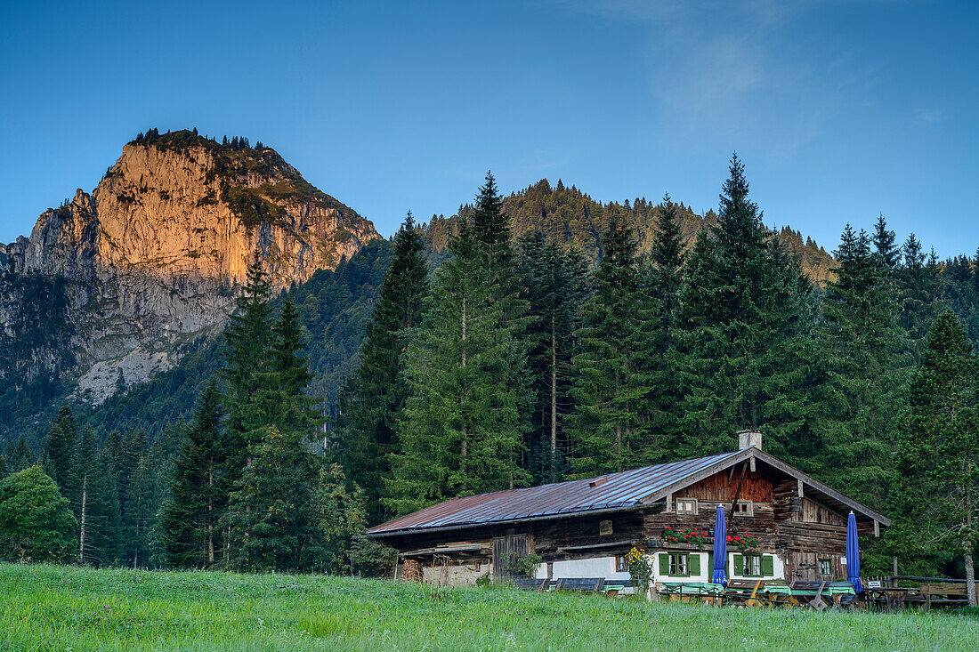 The rear langentalalm almg buildings with Probst wall in the alpine glow, Benedict wall, Bavarian Alps, Upper Bavaria, Bavaria, Germany