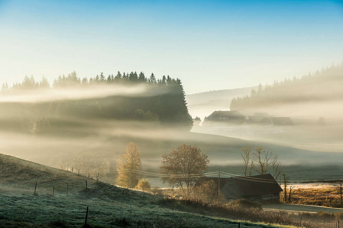 landscape and autumn fog, Jostal, Neustadt, Black Forest, Baden-Württemberg, Germany